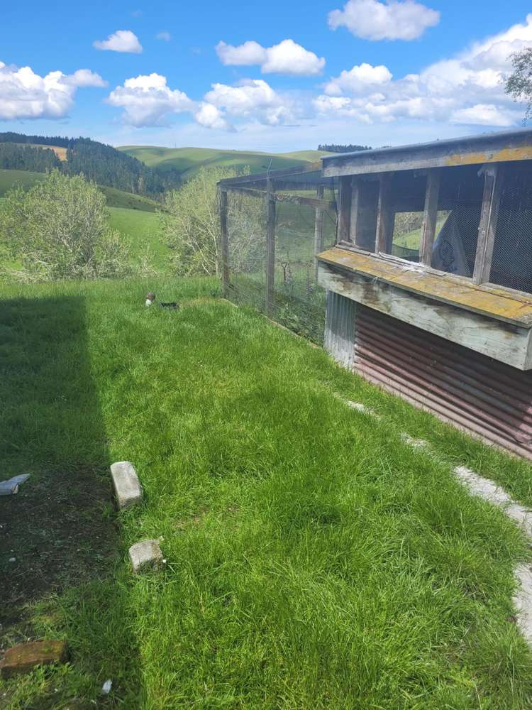 140 Pillans Road Balclutha_7