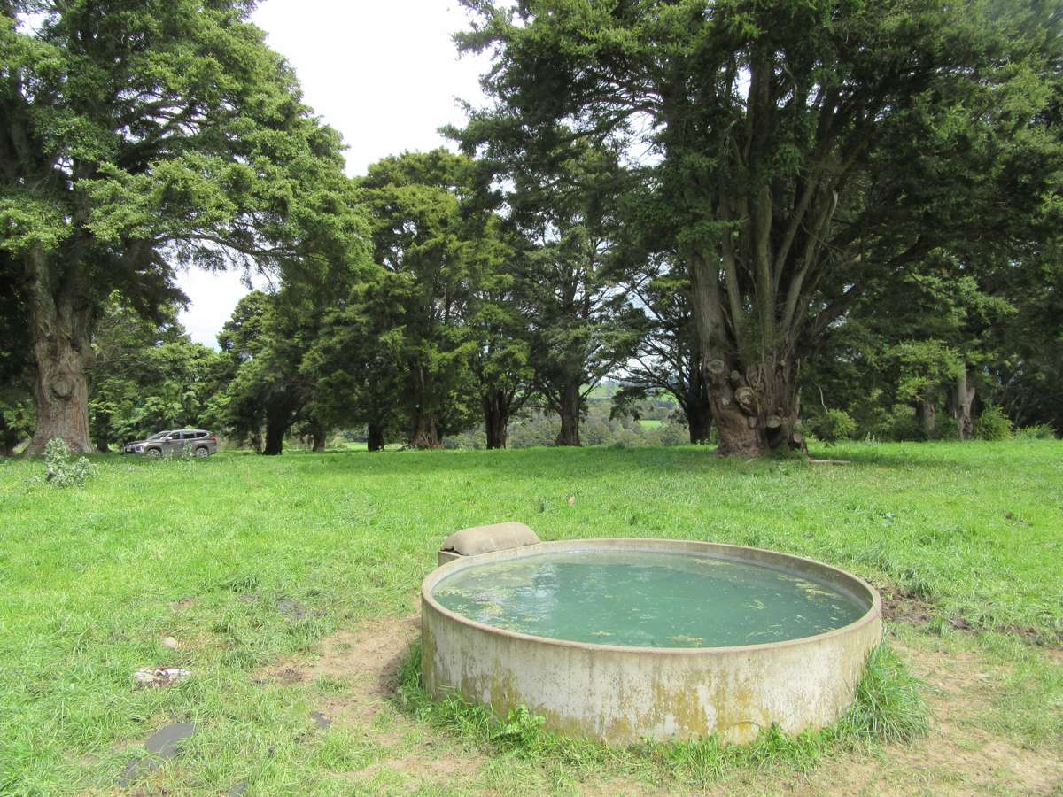 227 Whenuahou Road_2