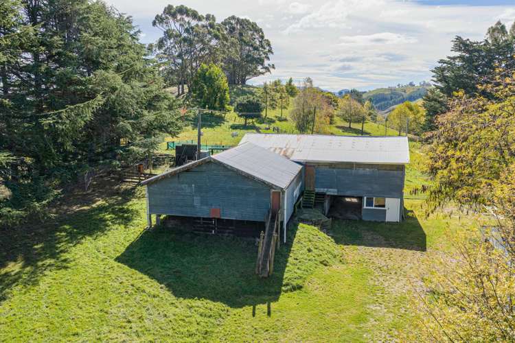 1544 Kahuranaki Road Kahuranaki_25