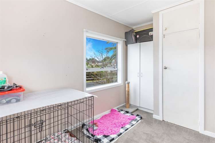 39 Snell Street Morrinsville_13