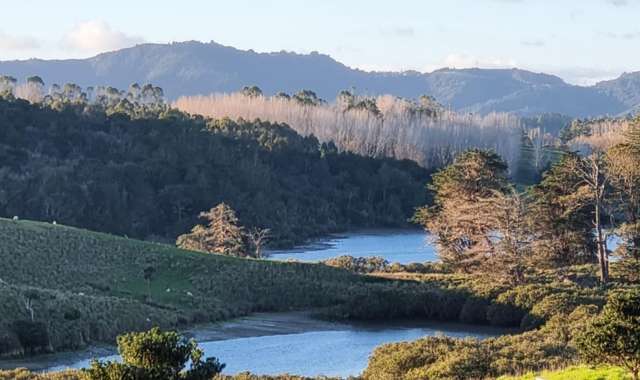 83 Hinamoki Drive Kaiwaka_4