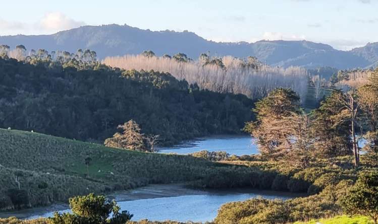 77 Hinamoki Drive Kaiwaka_21