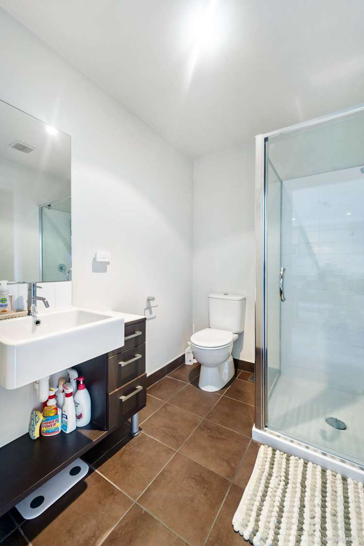 100c Michael Jones Drive Flat Bush_6