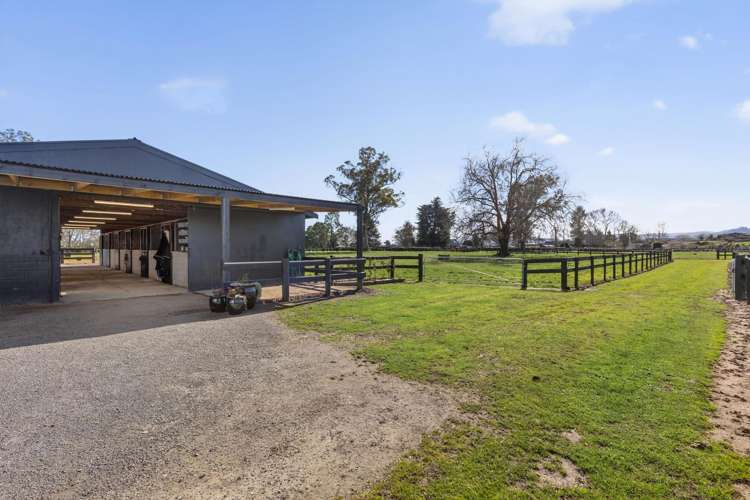 25 French Pass Road Cambridge_21