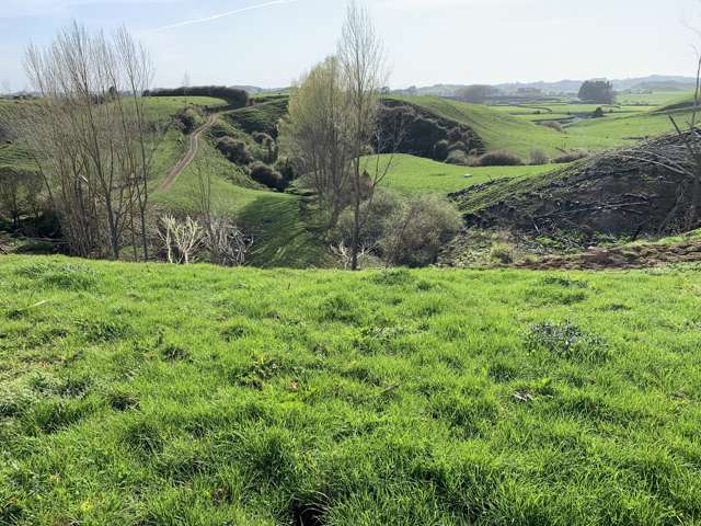 895 Bird Road Stratford_4