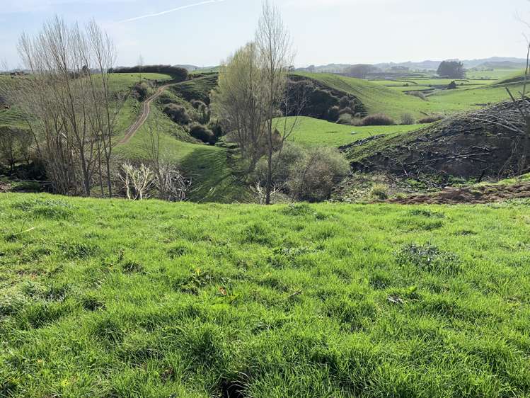 895 Bird Road Stratford_4