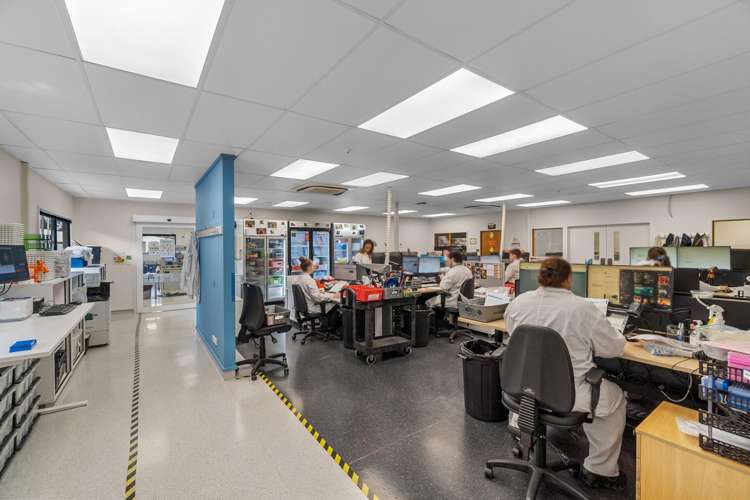 140 Riverlea Road Riverlea_5