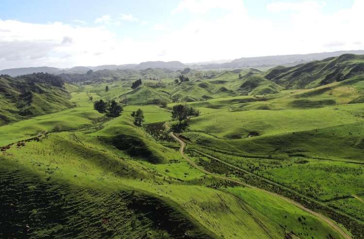 168 Pao Road Aria_13