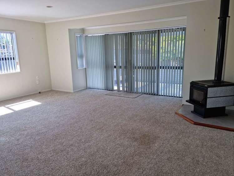 3 Cynthia Crescent Te Aroha_2