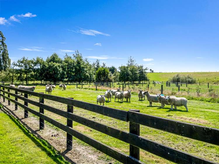 190 Beatties Road Ashley_29