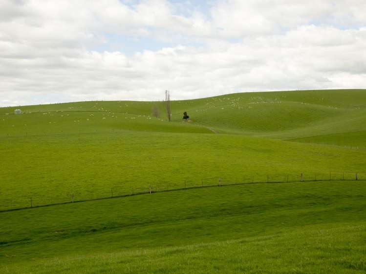 171 Monavale Road Albury_24