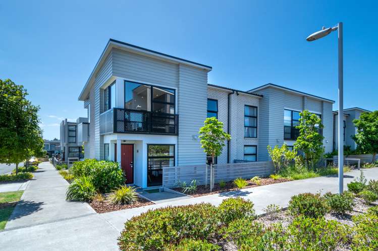 Auckland - Waitakere_20