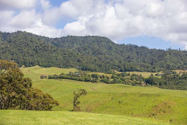 250 Busby Road Katikati_3