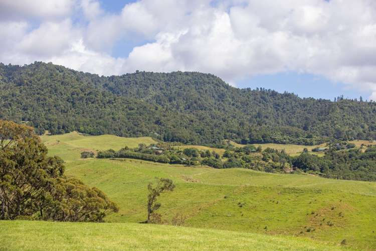 250 Busby Road Katikati_13