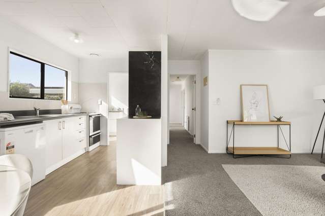 27A Wellington Street Hamilton East_4
