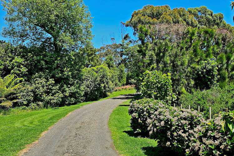 350A Bothwell Park Road Waiuku_23