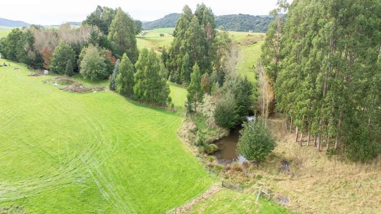 28 Mandeville Road Winton Surrounds_12