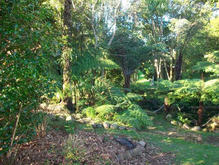 16 Poland Street Waikino_22