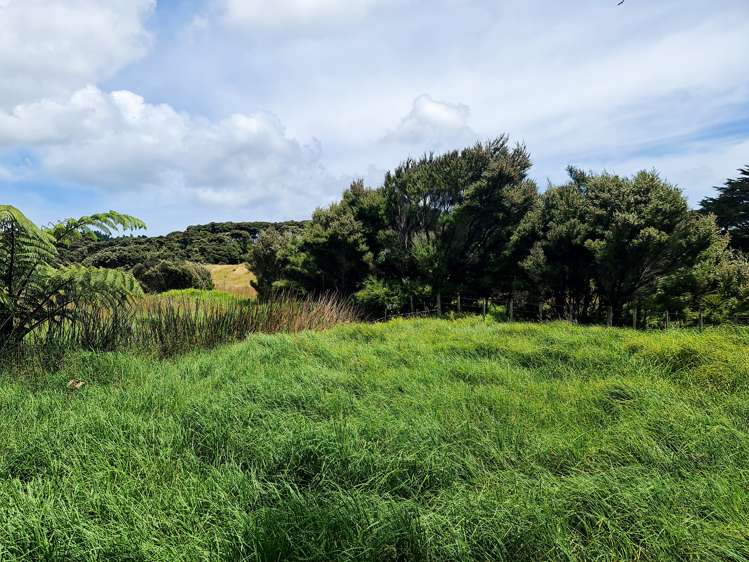 96 Mcmanus Road Houhora_5