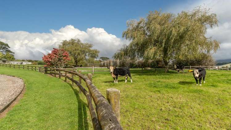 648c Esdaile Road Whakamarama_16