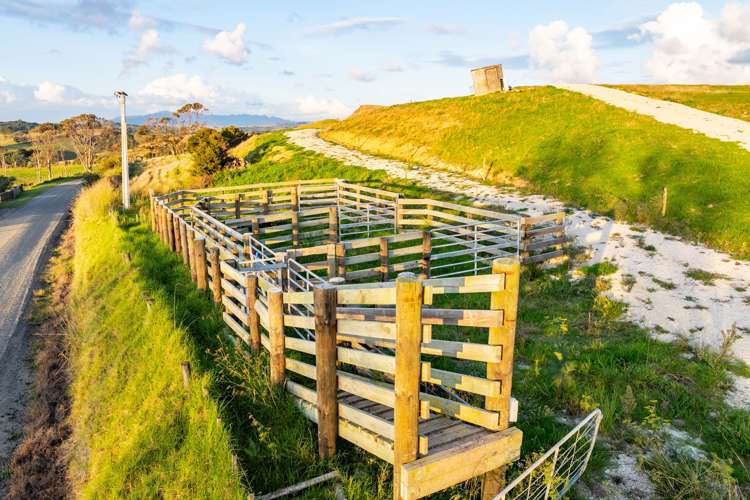 98 Rowland Road Dargaville Surrounds_4