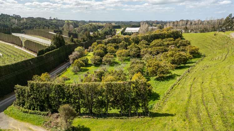 231 Walford Road Aongatete_21