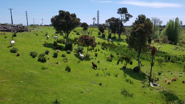 29a Reg Cox Drive Hokitika_17