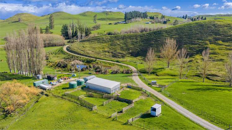 418 Tikokino Road Waipawa_10