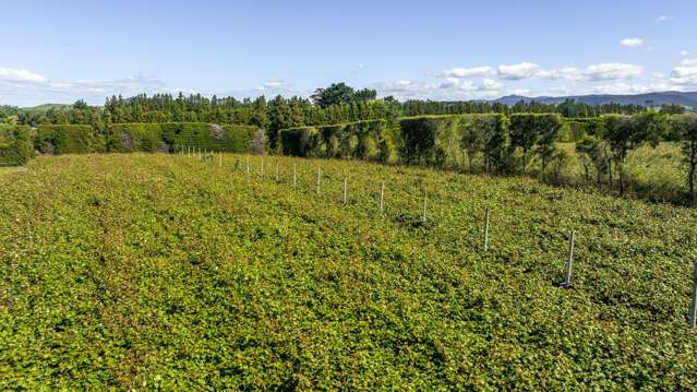 72 Waihi Beach Road Waihi_2
