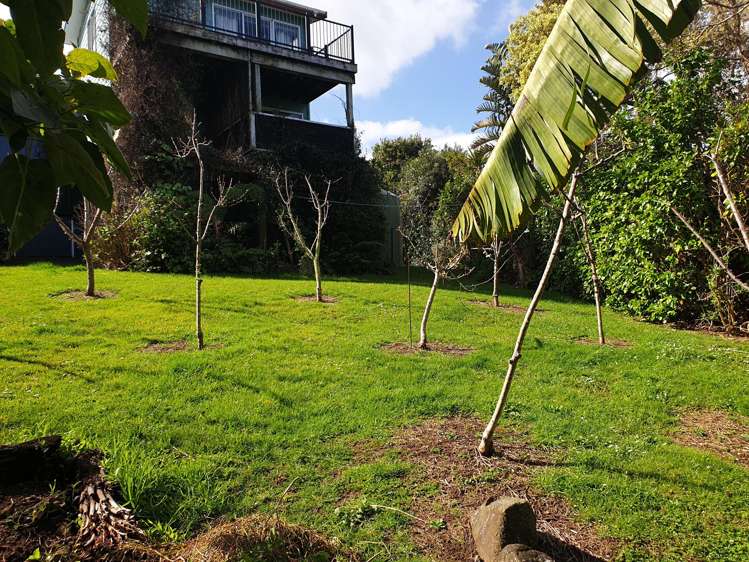 15 Puriri Place, Tuateawa_47