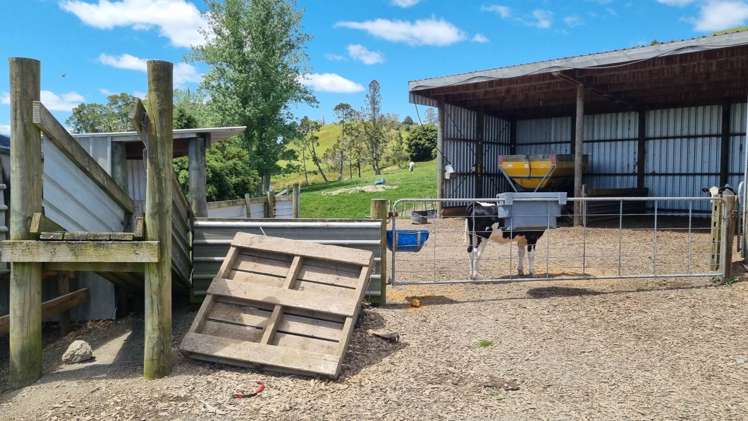 95 Masons Road Maromaku_9