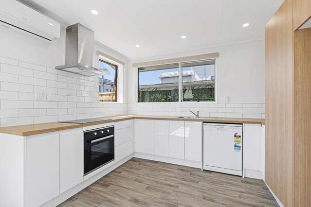 29A Hine Street New Plymouth_2