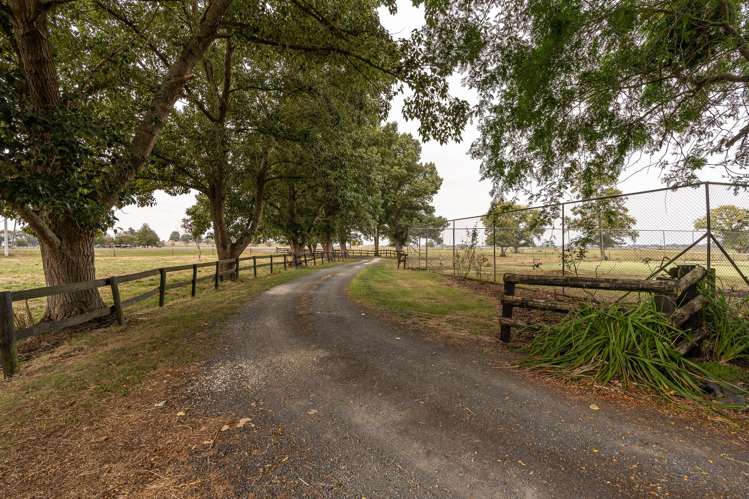 308 Mill Road Ohaupo_30