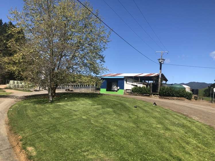 1026 Limeworks Loop Road Karamu_5