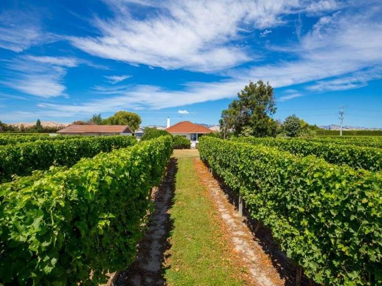 202 Old Renwick Road Springlands_12