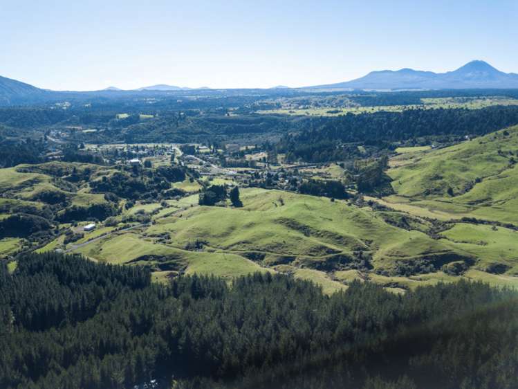 Kaitieke Road Owhango_6