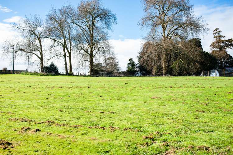 300 Puahue Road Te Awamutu_5