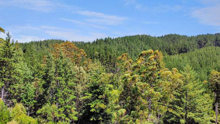 700 Burma Road Maraetotara_14