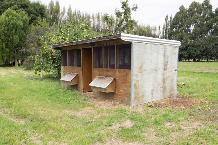 70 Johnstone Street Tinwald_18