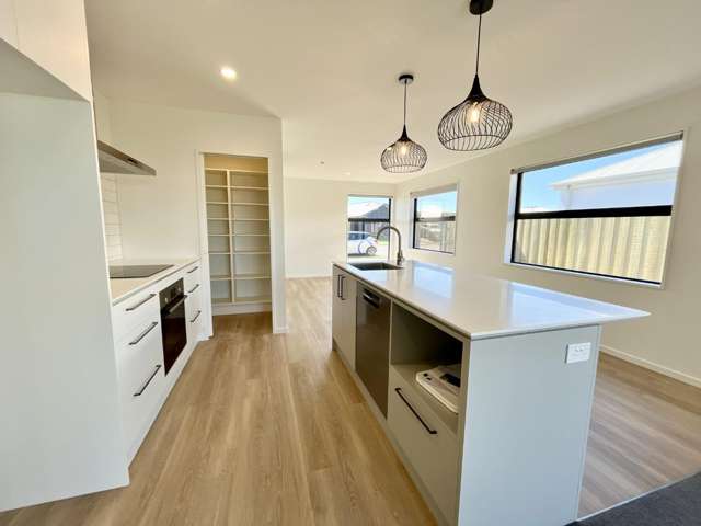 17 Larch Drive Rolleston_2