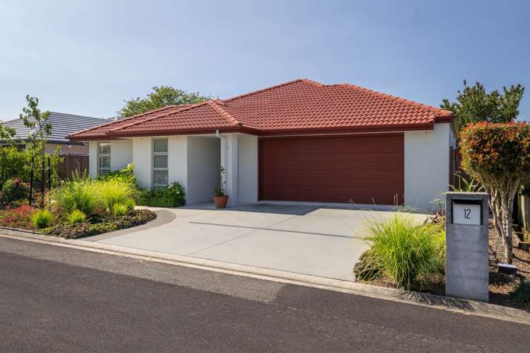 12 Turnberry Close, RD 2 Katikati_23