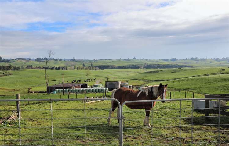 291 Ginn Road Huntly_15