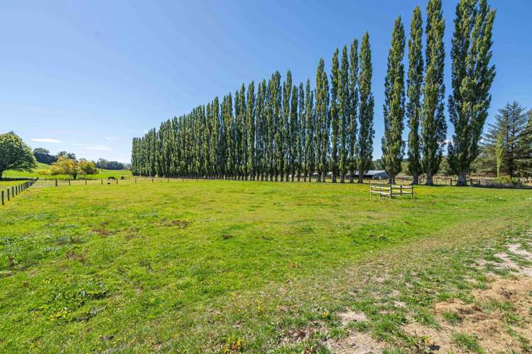 24 East Chatton Road, Maitland Gore_34