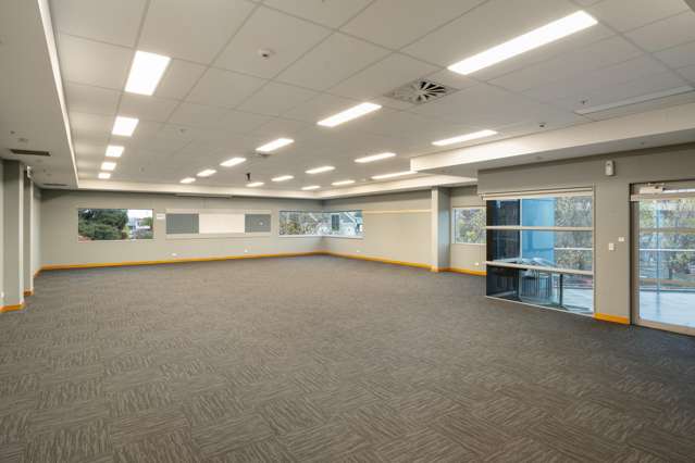 2/Part of 42 Alfred Street Blenheim_2