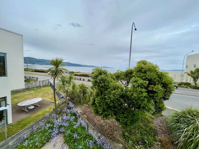 167 The Esplanade Petone_3