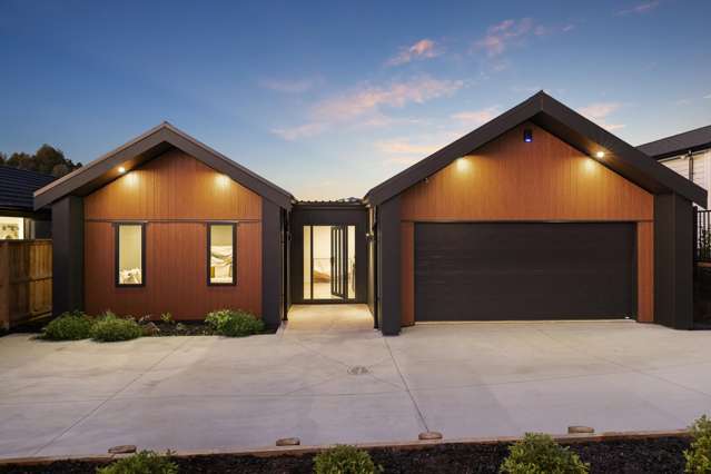 18 Te Ara Hīkoi Pukekohe_2