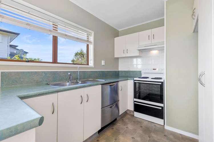 45A Hinewa Road_5