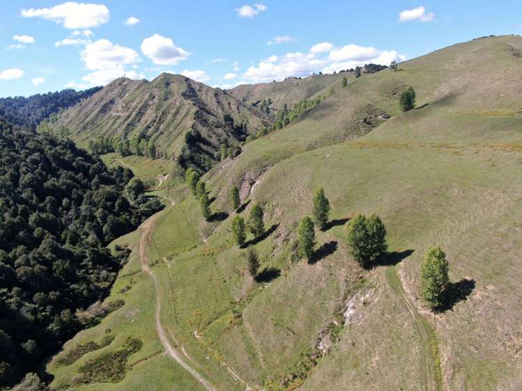 808 Roto Road Ohura_12