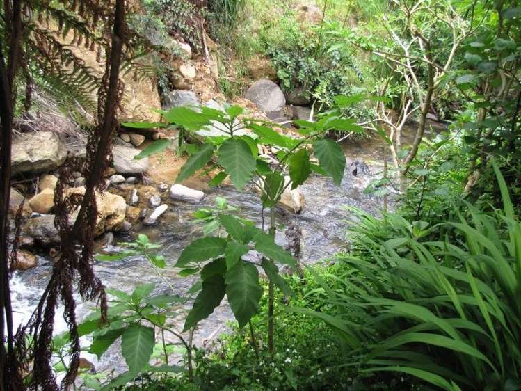 14 Patui Avenue Ngarimu Bay_27