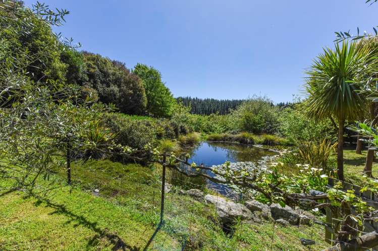 157 Stringer Road Redwood Valley_37